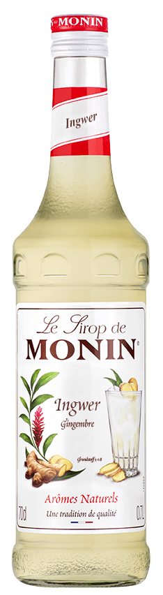 Ginger - Monin Syrup (0,7l)