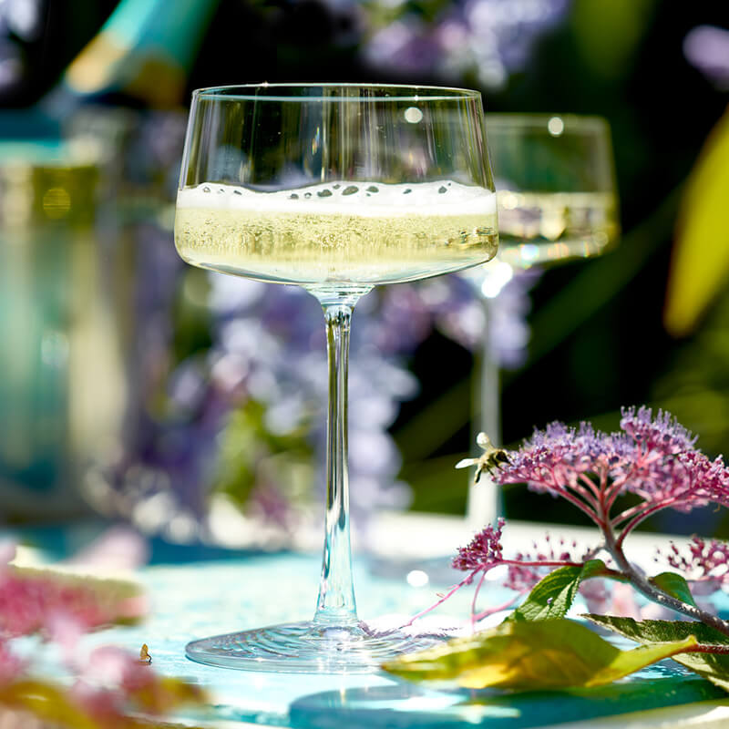 Champagne bowl Power, Stölzle - 276ml (6 pcs.) Champagne bowl Power, Stölzle - 276ml (6 pcs.)