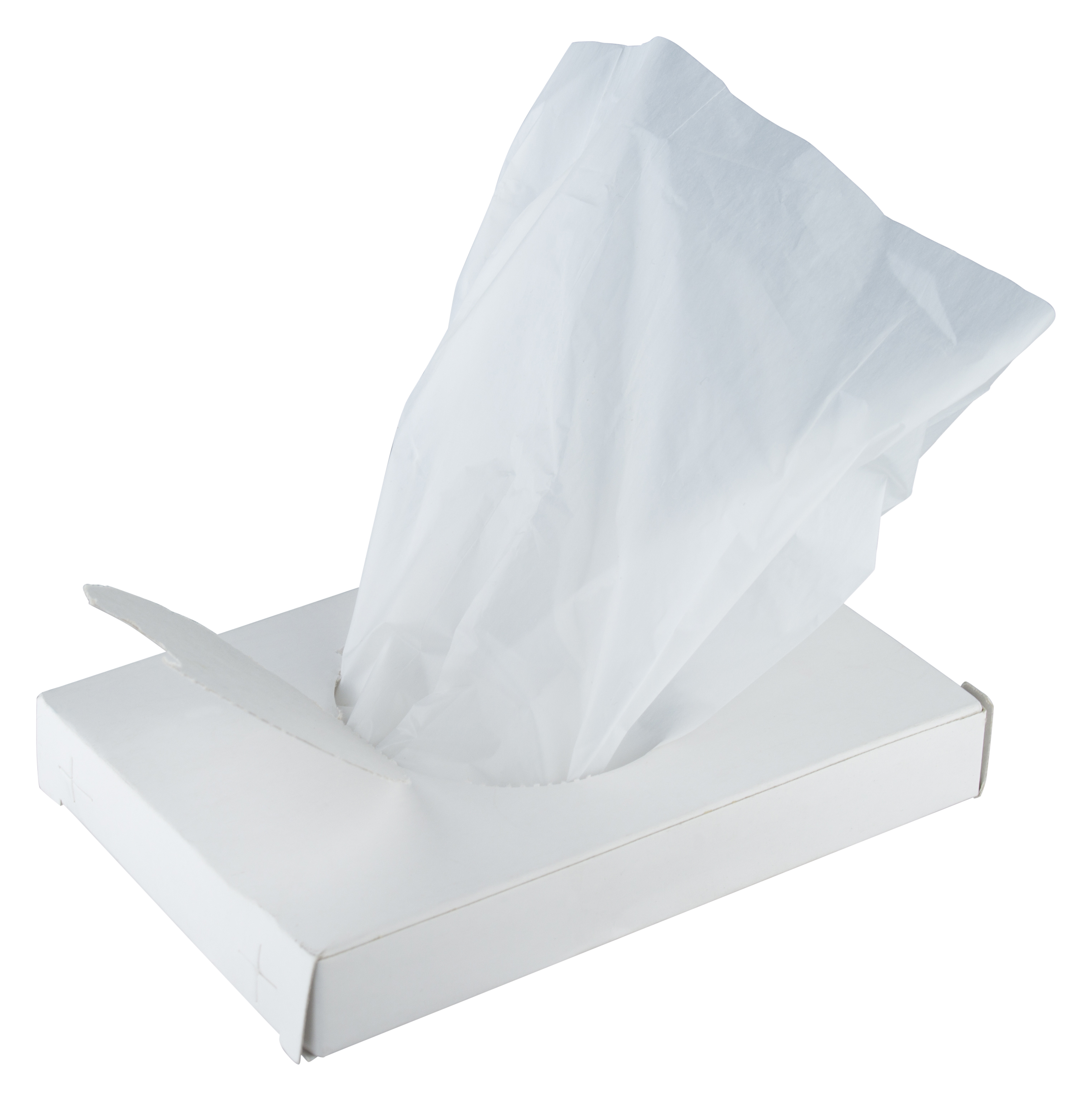 Hygiene bags, white, in a box (25 pcs.)