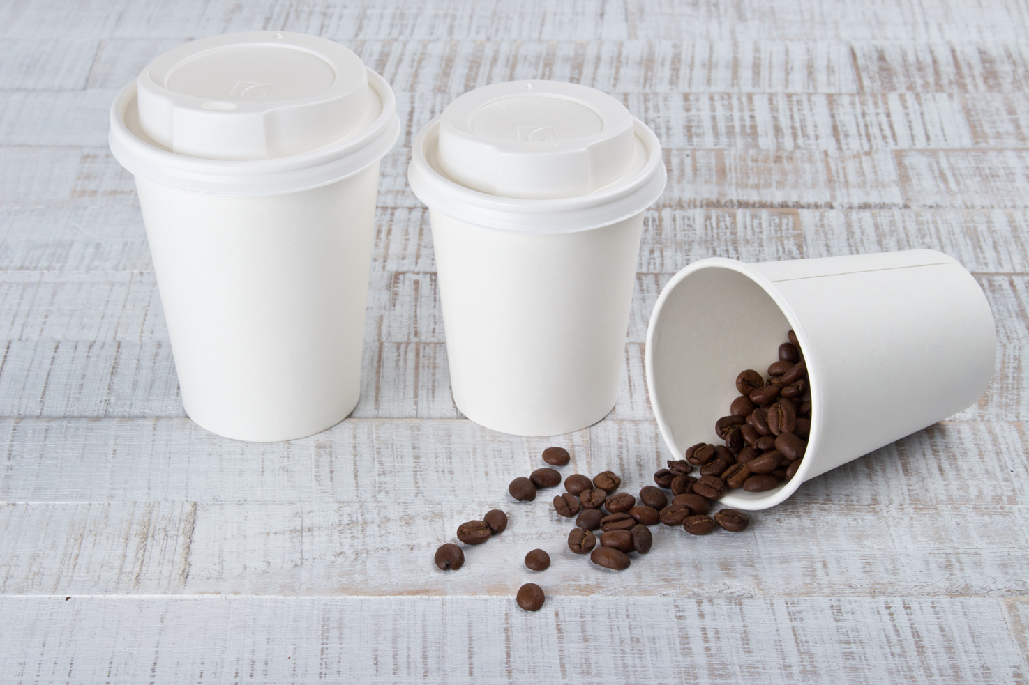 Coffee cups and lids Eco - 0,3l