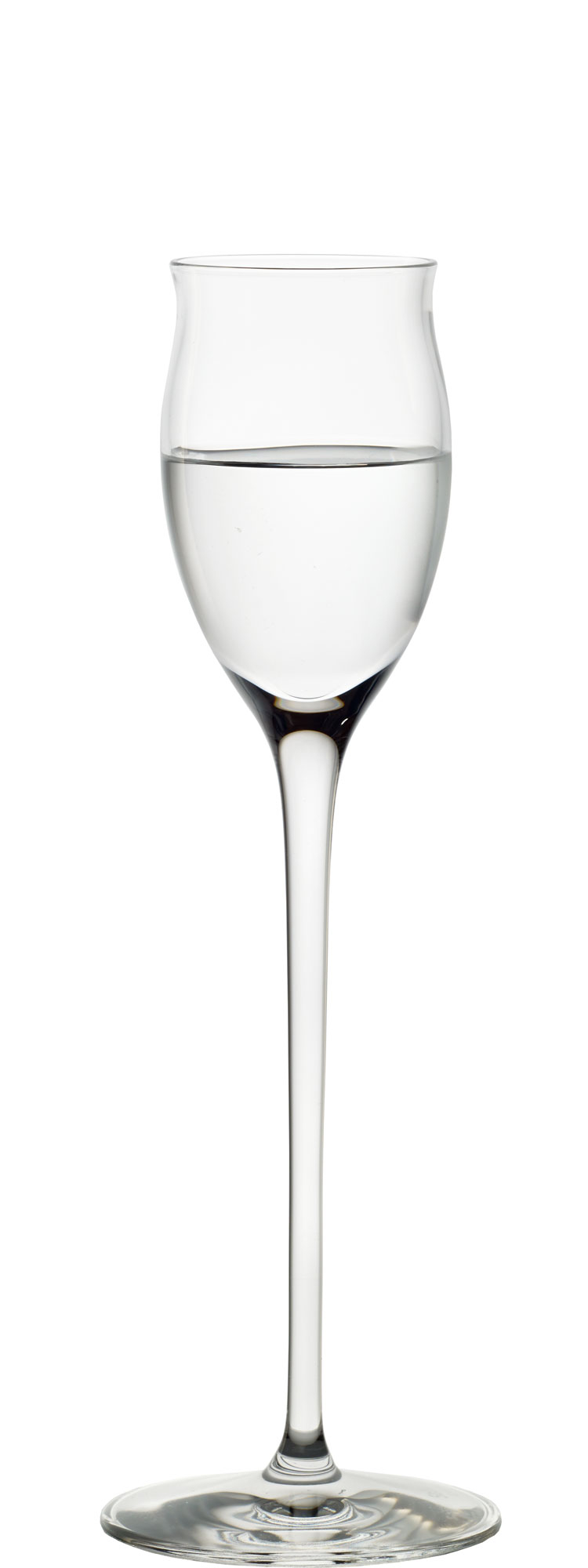 Brandy/grappa glass Quatrophil, Stölzle - 65ml (1 pc.)