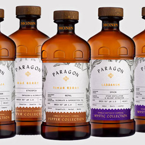 Monin Paragon