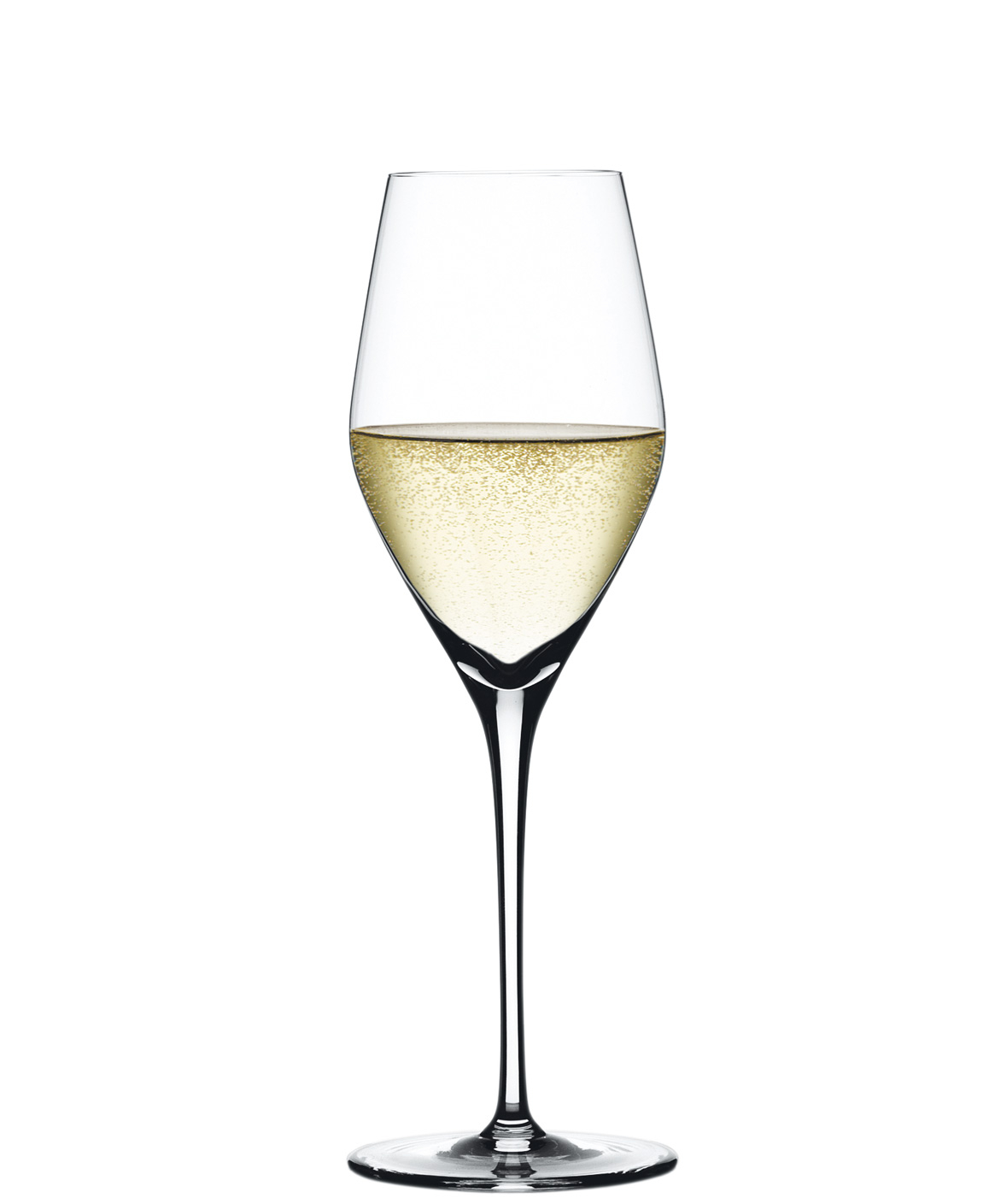 Champagne glass Authentis, Spiegelau - 270ml (1 pc.)