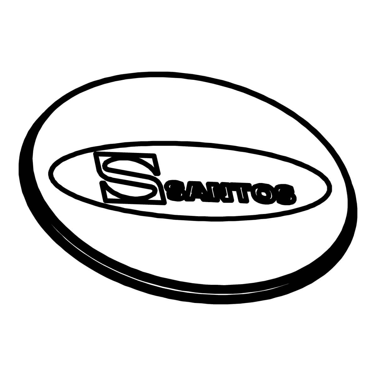 Bowl cover, transparent - Santos #11 (11160)