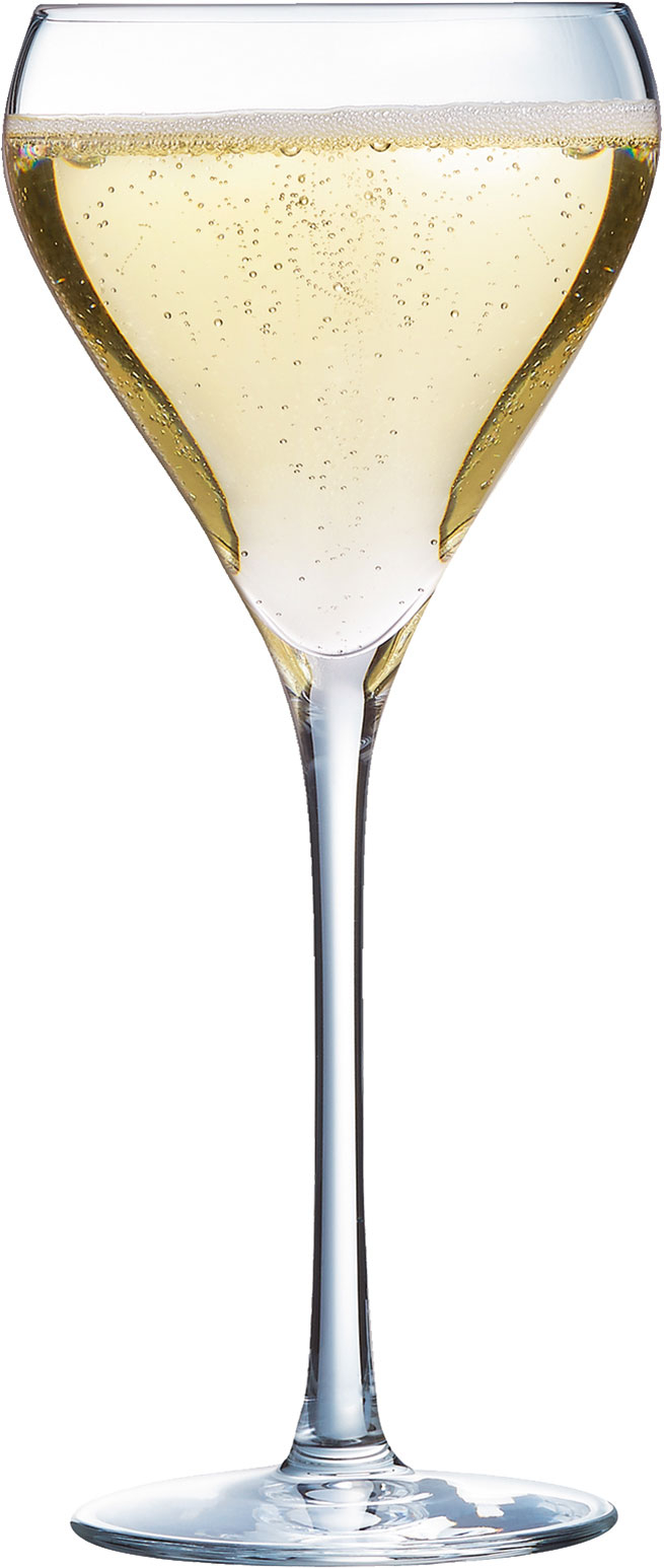 Champagne glass Brio, Arcoroc - 210ml (1 pc.)