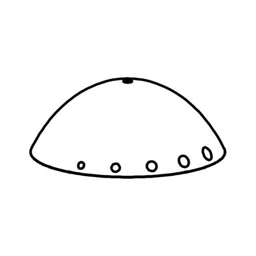 Speed button - Santos #54 (54379)