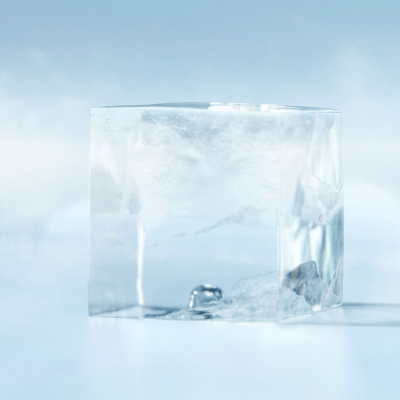 Hoshizaki IM-240 DNE-HC (L-cube) Hoshizaki IM-240 DNE-HC (L-cube)